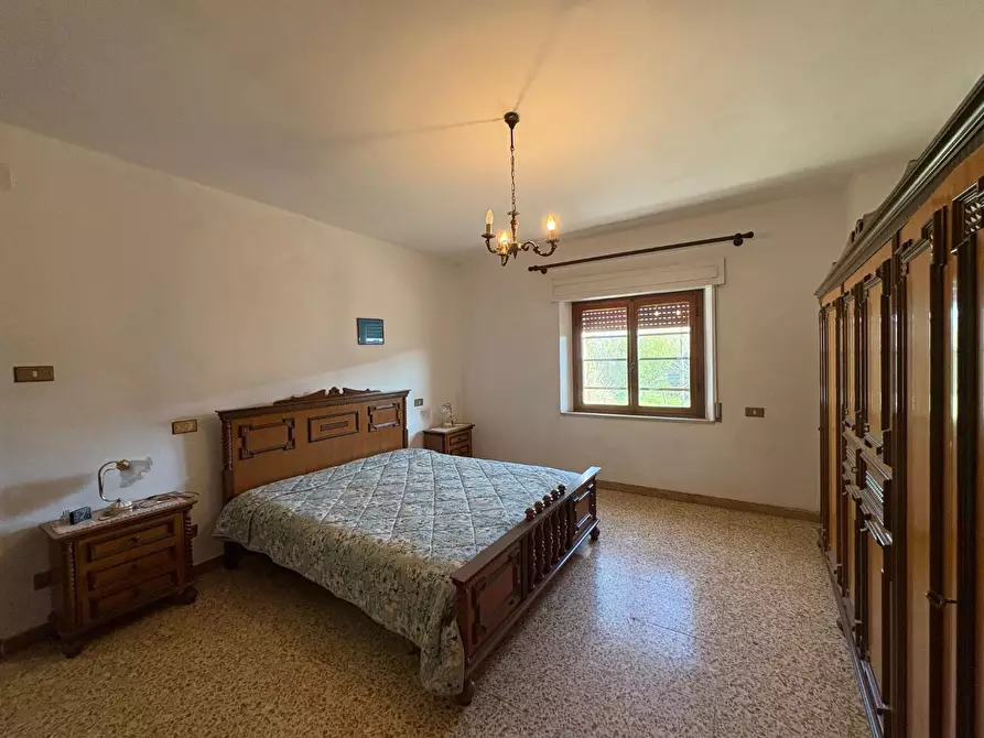 Immagine 8 di Terratetto in vendita  a Crespina Lorenzana