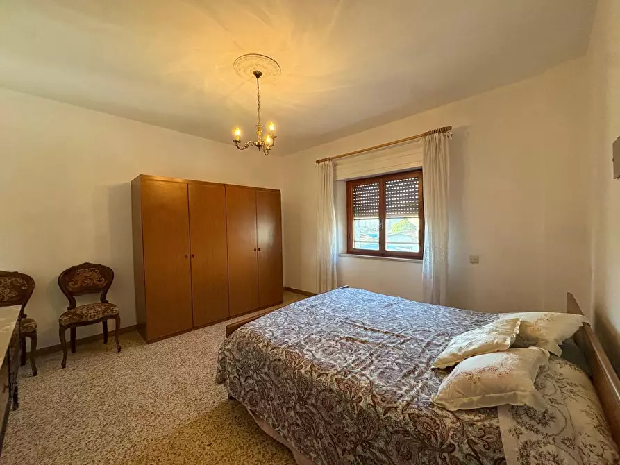 Immagine 11 di Terratetto in vendita  a Crespina Lorenzana