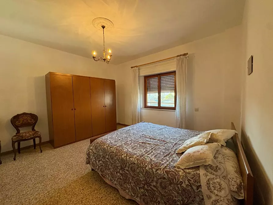 Immagine 12 di Terratetto in vendita  a Crespina Lorenzana