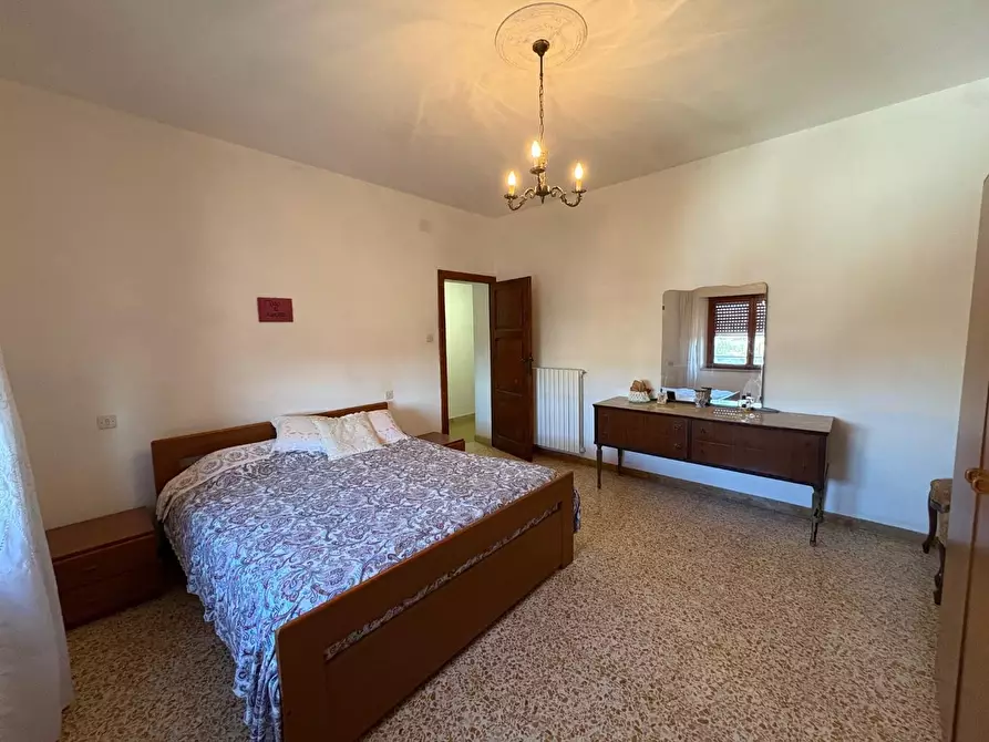 Immagine 13 di Terratetto in vendita  a Crespina Lorenzana