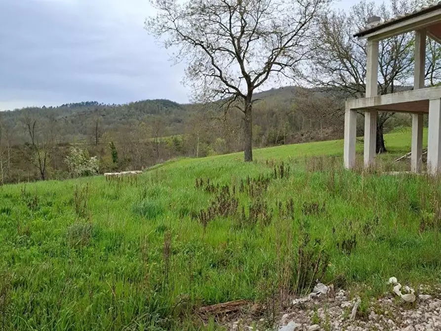 Immagine 4 di Villa in vendita  a Manciano