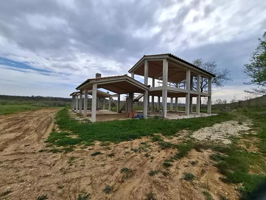 Immagine 10 di Villa in vendita  a Manciano