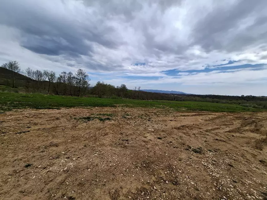 Immagine 11 di Villa in vendita  a Manciano