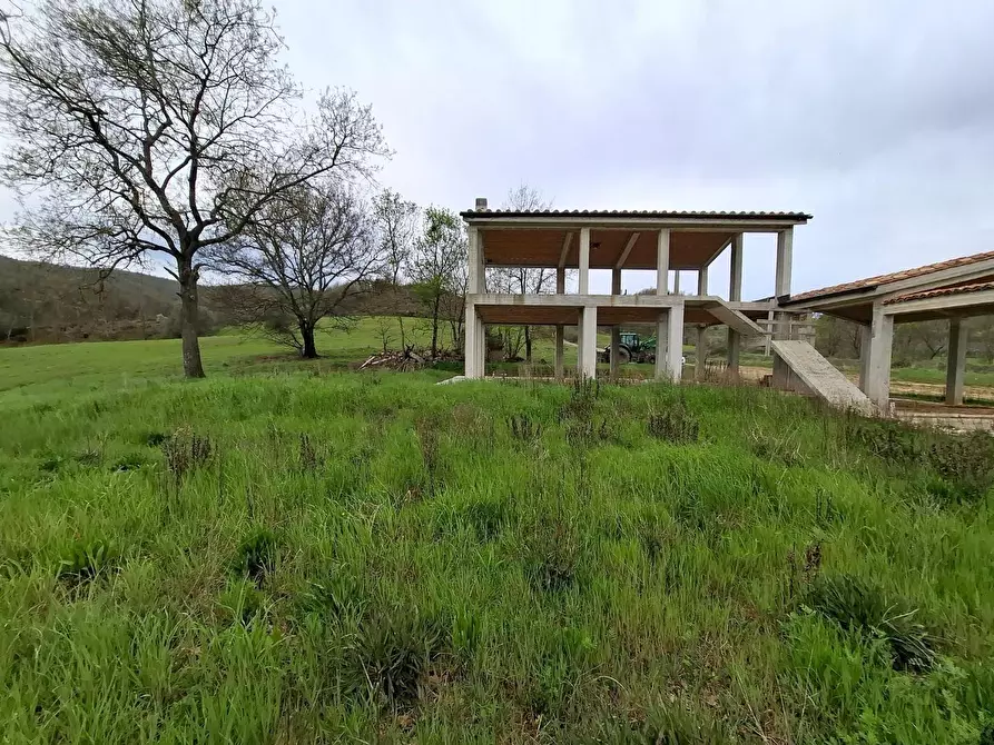 Immagine 6 di Villa in vendita  a Manciano