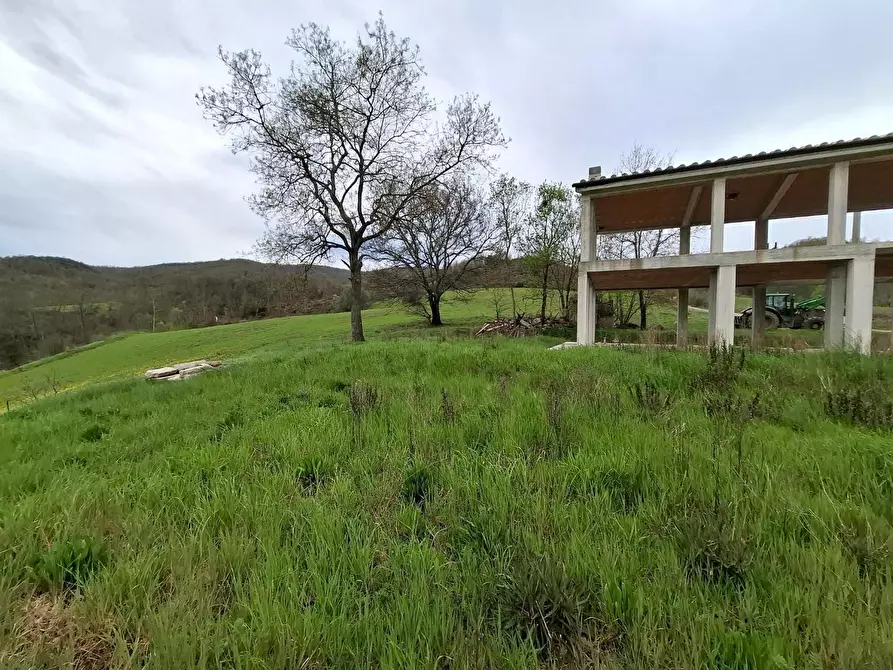 Immagine 5 di Villa in vendita  a Manciano