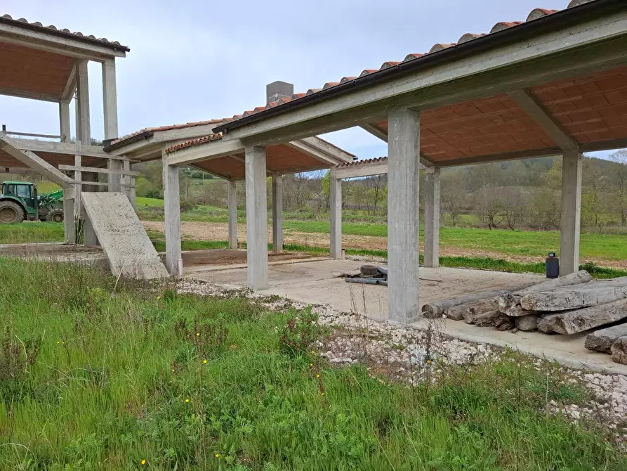 Immagine 2 di Villa in vendita  a Manciano