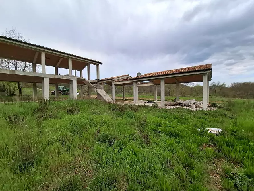 Immagine 7 di Villa in vendita  a Manciano