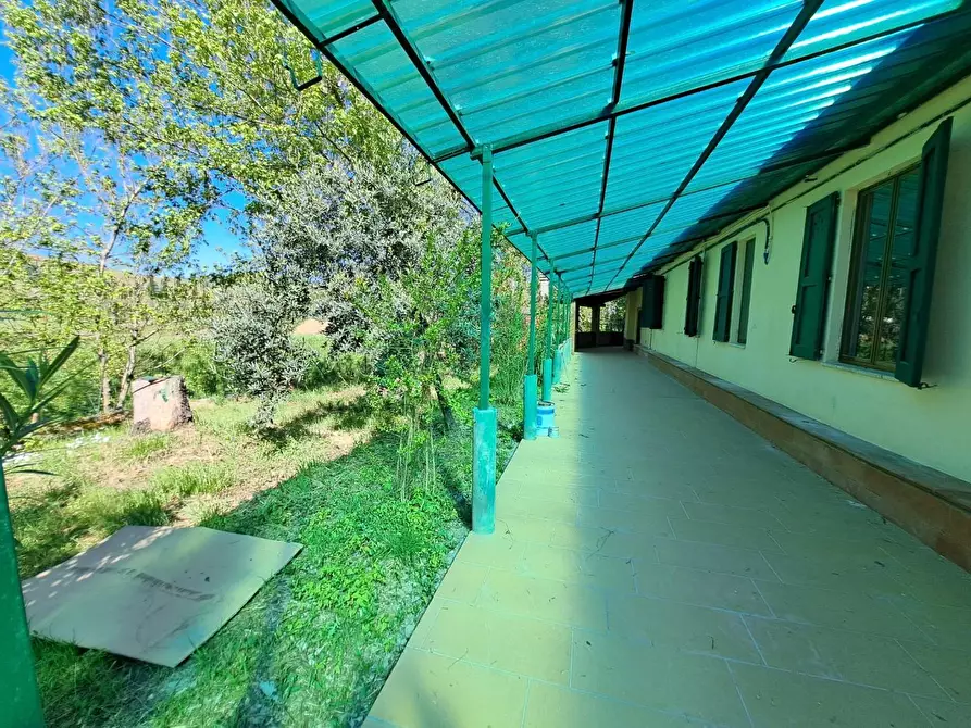 Immagine 2 di Appartamento in vendita  a Vinci