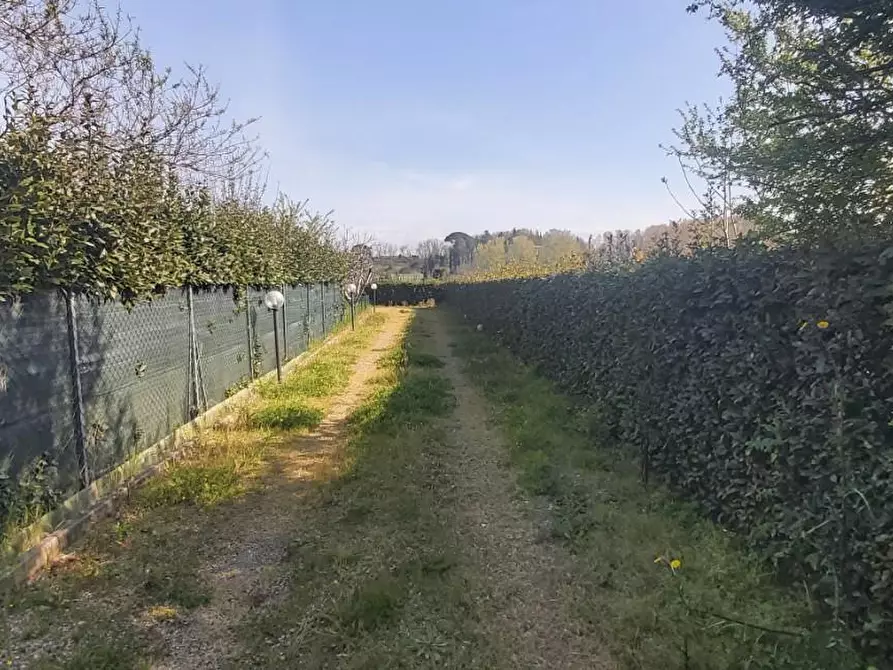 Immagine 3 di Rustico / casale in vendita  a Crespina Lorenzana