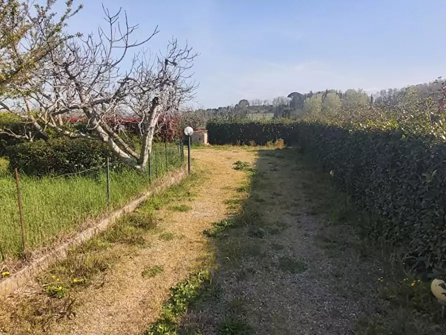 Immagine 5 di Rustico / casale in vendita  a Crespina Lorenzana