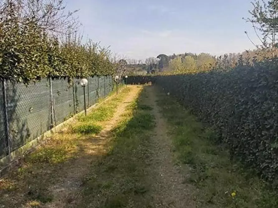 Immagine 4 di Rustico / casale in vendita  a Crespina Lorenzana