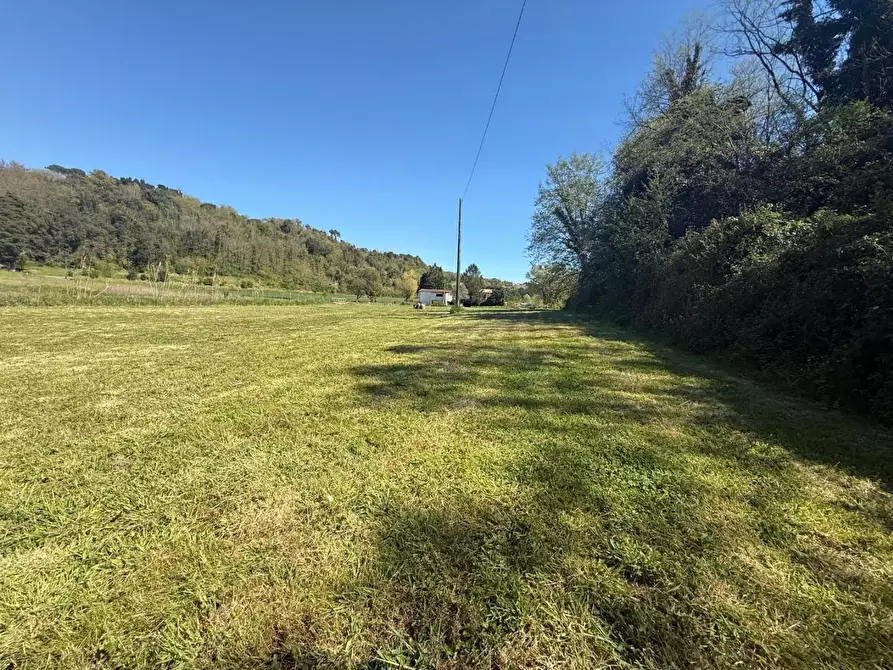 Immagine 52 di Casa indipendente in vendita  a Crespina Lorenzana