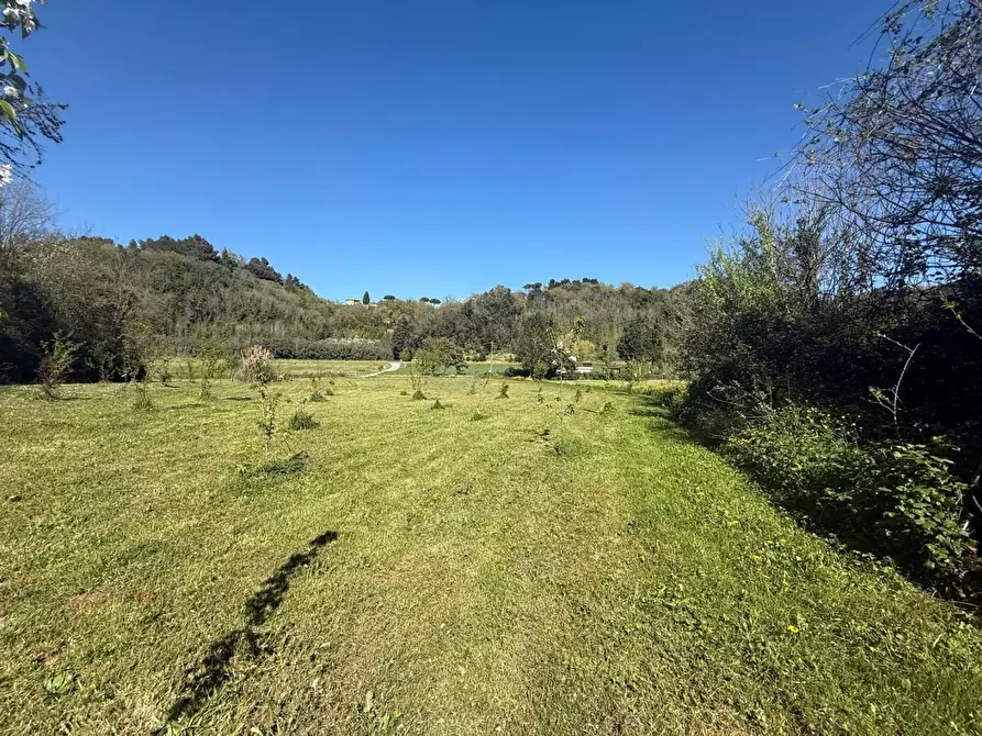 Immagine 50 di Casa indipendente in vendita  a Crespina Lorenzana