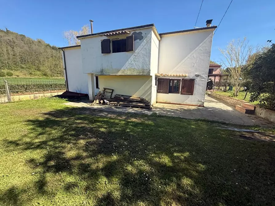 Immagine 34 di Casa indipendente in vendita  a Crespina Lorenzana