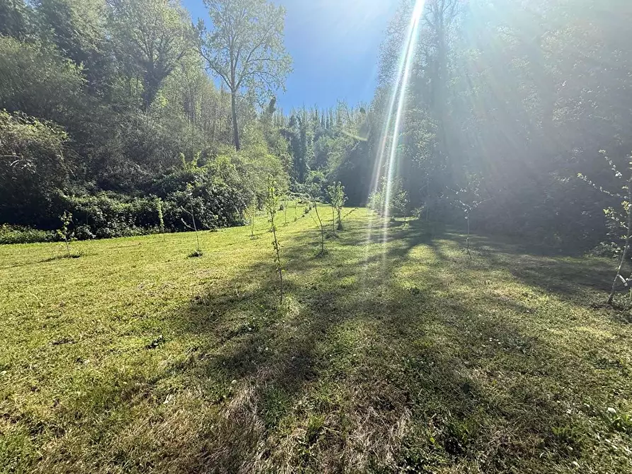 Immagine 47 di Casa indipendente in vendita  a Crespina Lorenzana