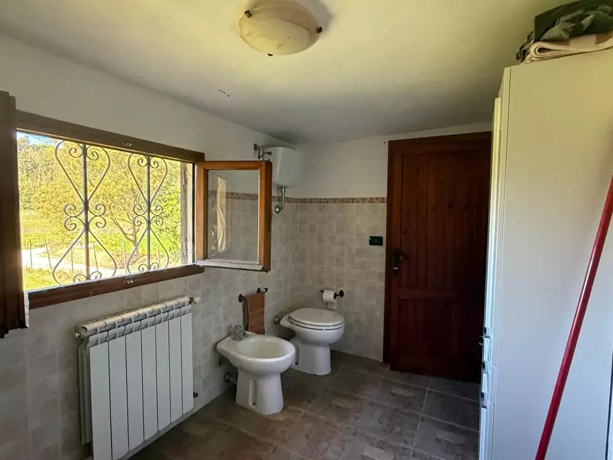 Immagine 26 di Casa indipendente in vendita  a Crespina Lorenzana