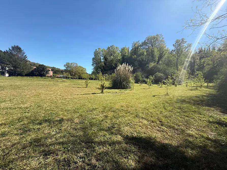 Immagine 48 di Casa indipendente in vendita  a Crespina Lorenzana