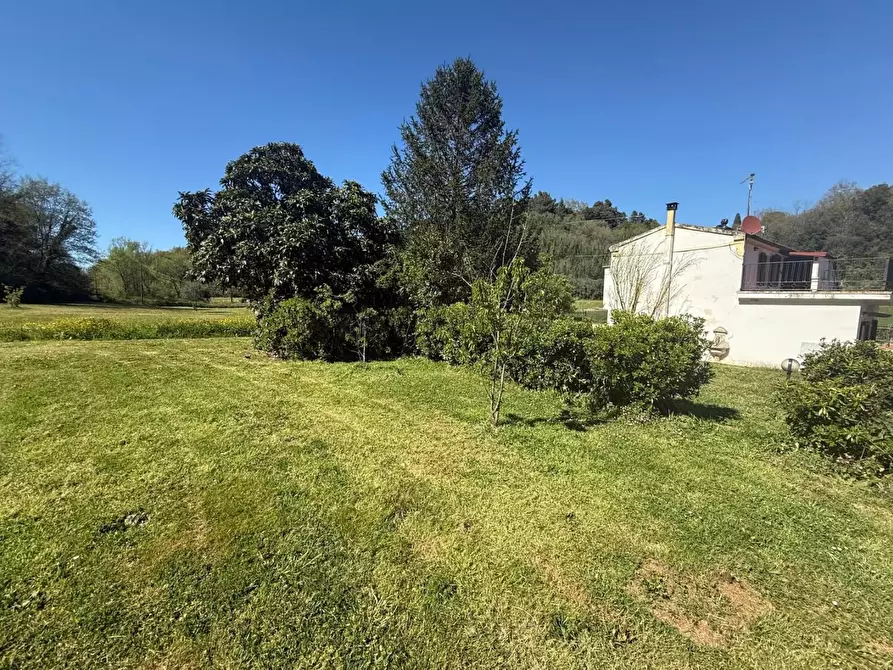 Immagine 40 di Casa indipendente in vendita  a Crespina Lorenzana