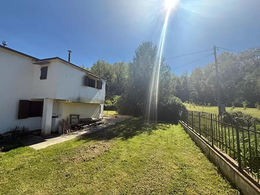 Immagine 36 di Casa indipendente in vendita  a Crespina Lorenzana