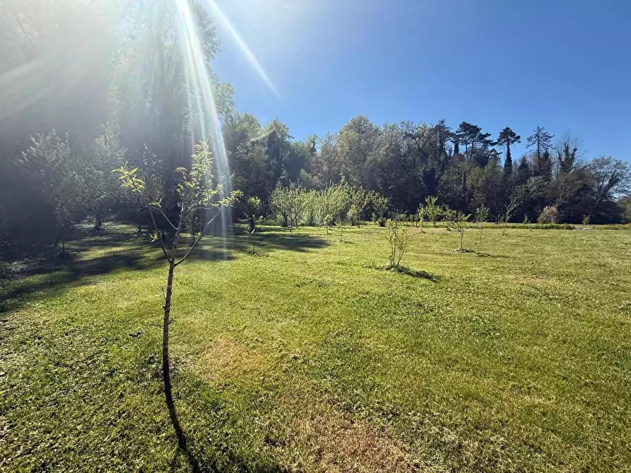 Immagine 43 di Casa indipendente in vendita  a Crespina Lorenzana