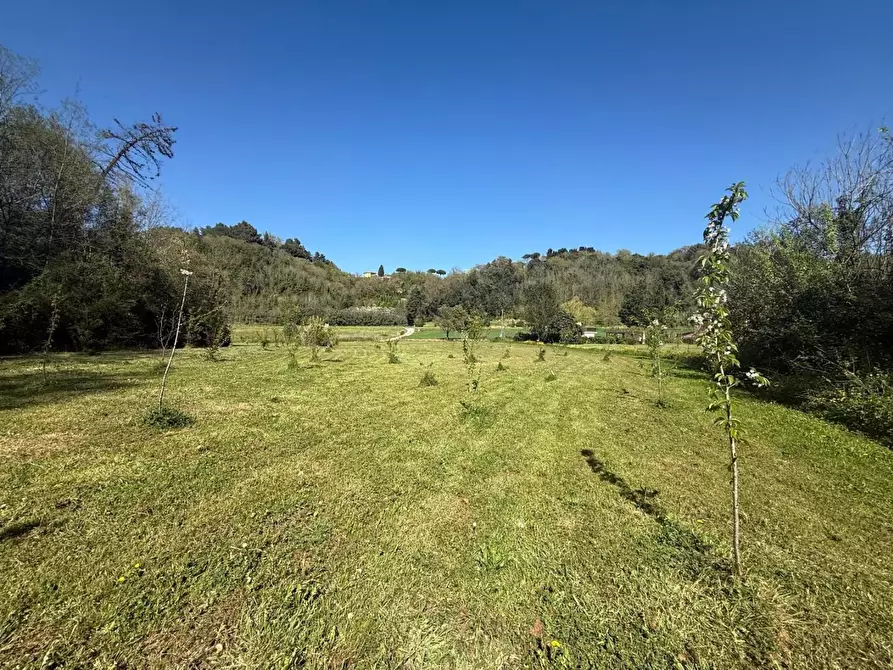 Immagine 46 di Casa indipendente in vendita  a Crespina Lorenzana