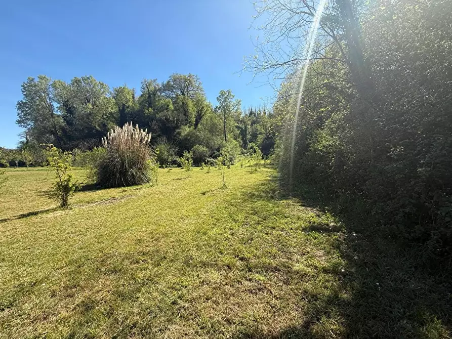 Immagine 45 di Casa indipendente in vendita  a Crespina Lorenzana