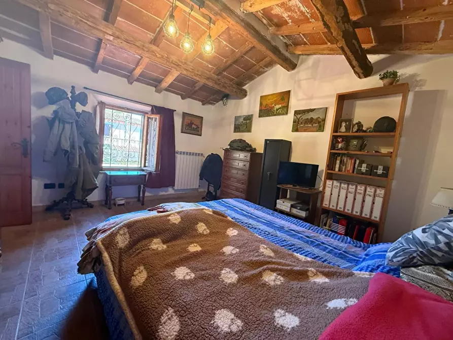 Immagine 20 di Casa indipendente in vendita  a Crespina Lorenzana