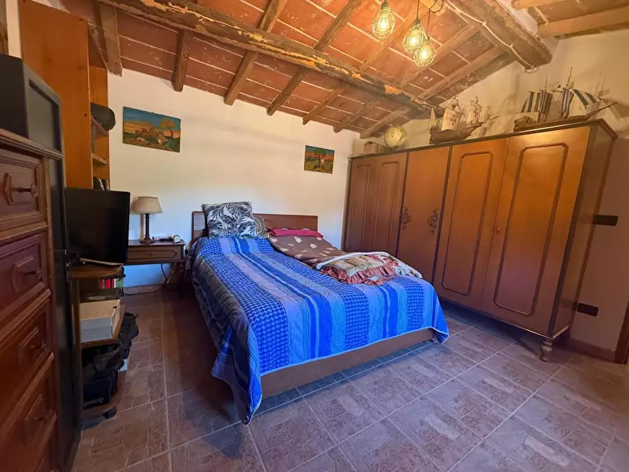 Immagine 19 di Casa indipendente in vendita  a Crespina Lorenzana