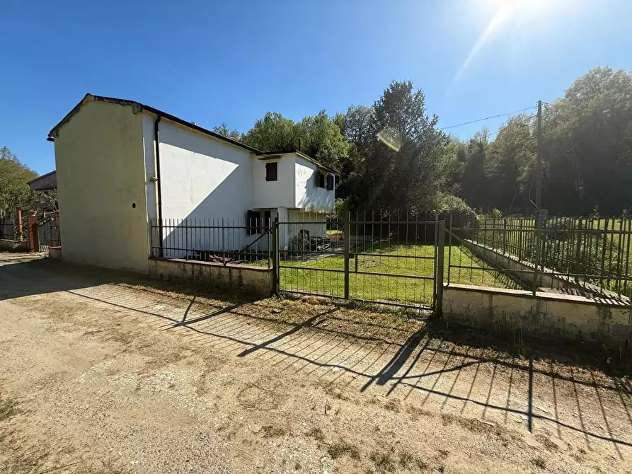 Immagine 3 di Casa indipendente in vendita  a Crespina Lorenzana