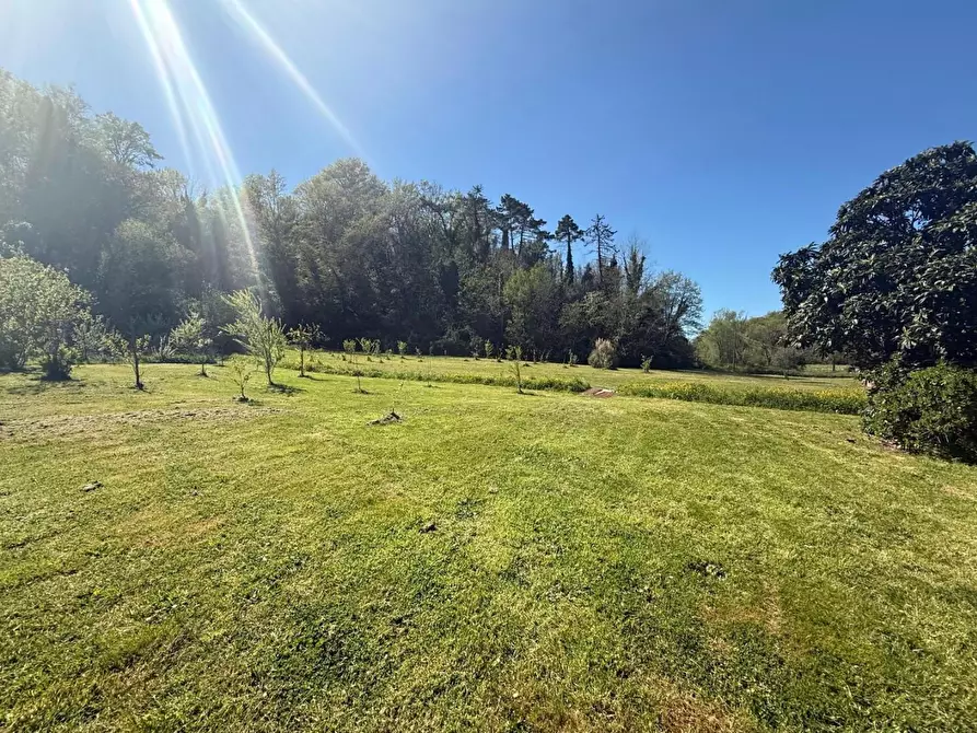 Immagine 41 di Casa indipendente in vendita  a Crespina Lorenzana