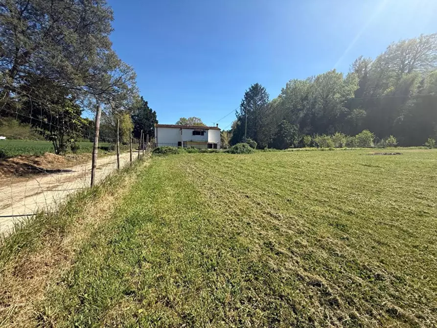 Immagine 49 di Casa indipendente in vendita  a Crespina Lorenzana