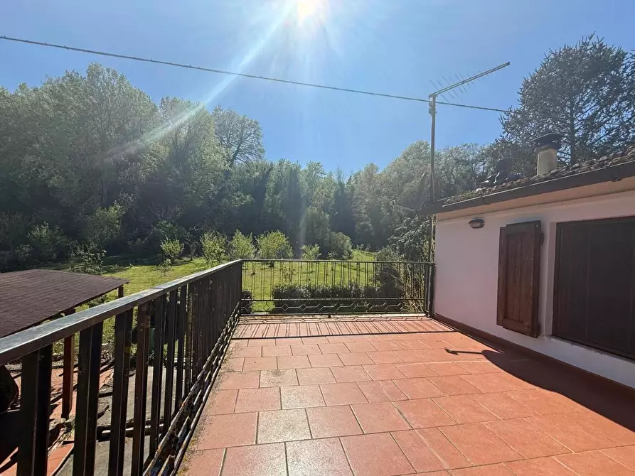 Immagine 28 di Casa indipendente in vendita  a Crespina Lorenzana