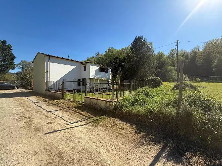 Immagine 2 di Casa indipendente in vendita  a Crespina Lorenzana