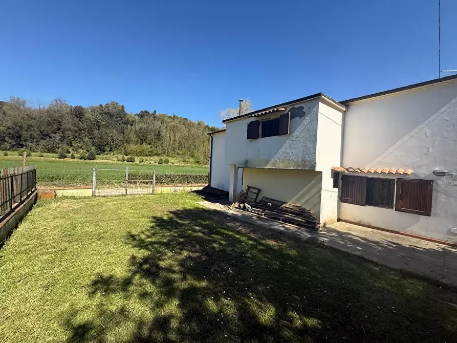 Immagine 37 di Casa indipendente in vendita  a Crespina Lorenzana