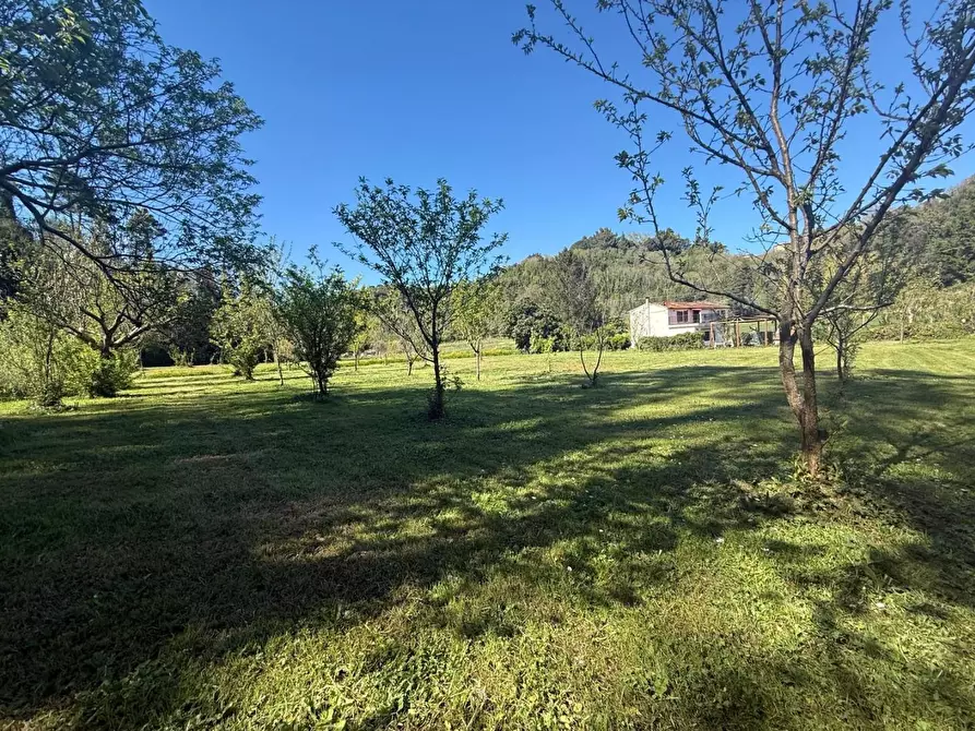 Immagine 42 di Casa indipendente in vendita  a Crespina Lorenzana