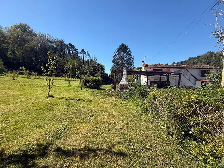 Immagine 39 di Casa indipendente in vendita  a Crespina Lorenzana