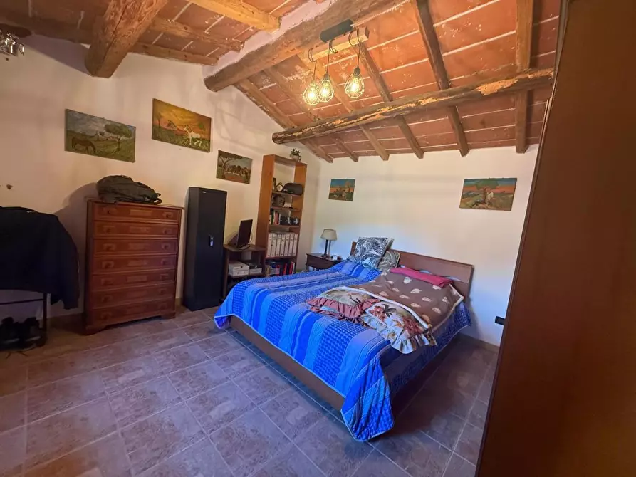 Immagine 21 di Casa indipendente in vendita  a Crespina Lorenzana