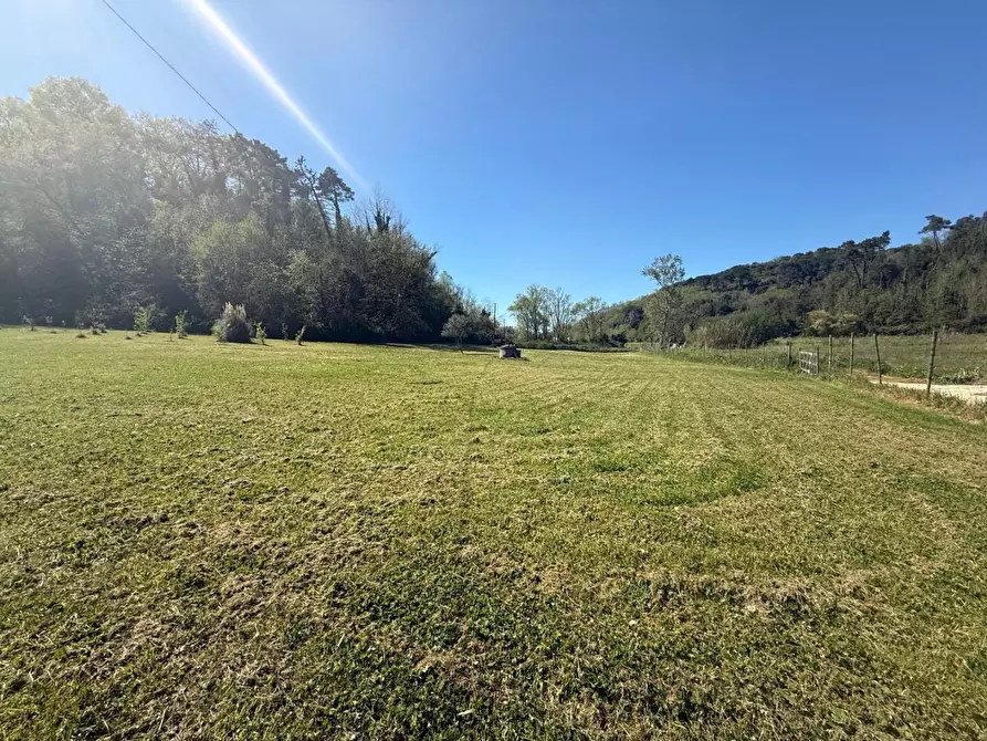 Immagine 44 di Casa indipendente in vendita  a Crespina Lorenzana