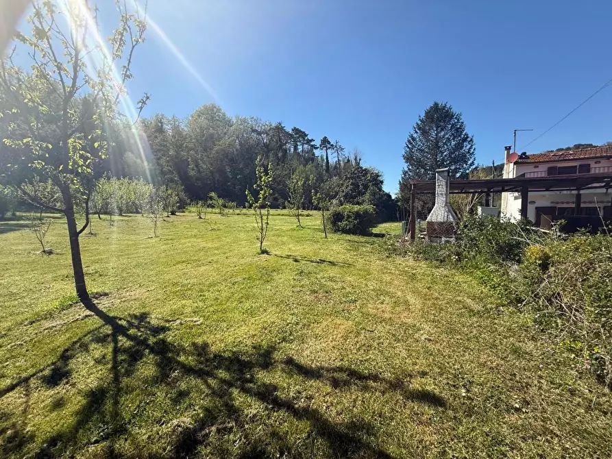 Immagine 38 di Casa indipendente in vendita  a Crespina Lorenzana