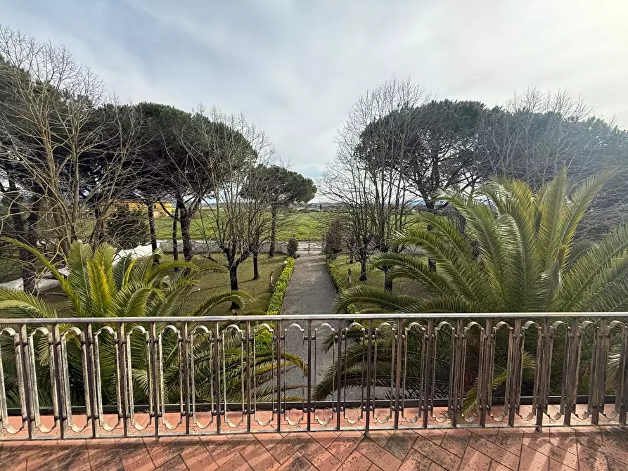 Immagine 11 di Villa in affitto  a Crespina Lorenzana