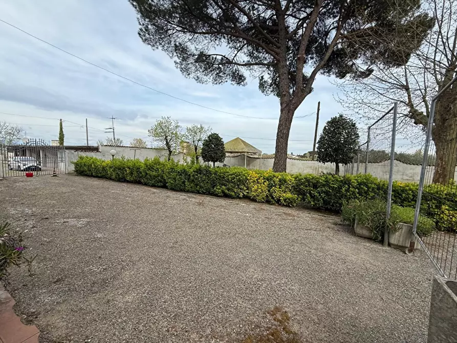 Immagine 27 di Villa in affitto  a Crespina Lorenzana
