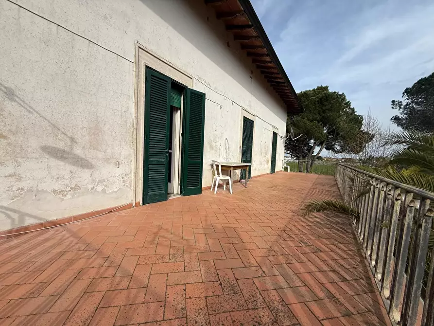 Immagine 12 di Villa in affitto  a Crespina Lorenzana