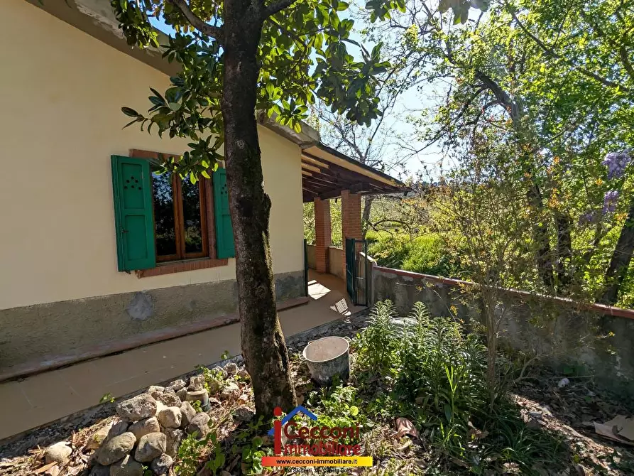 Immagine 7 di Villa in vendita  a Cerreto Guidi