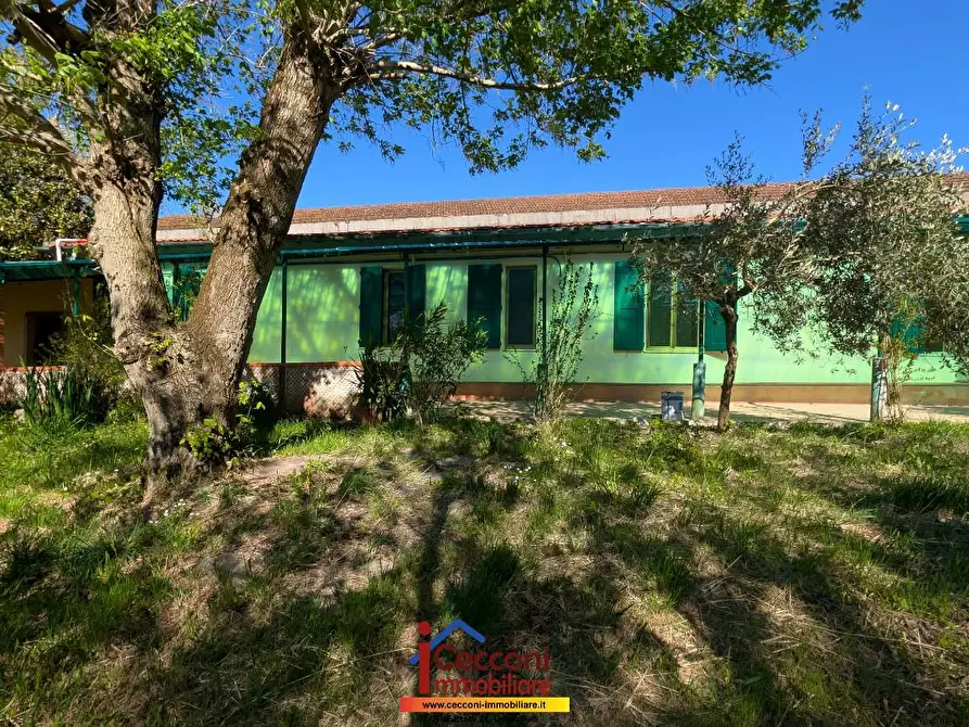 Immagine 1 di Villa in vendita  a Cerreto Guidi