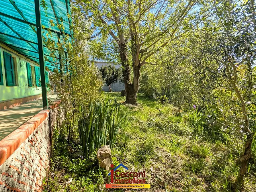 Immagine 8 di Villa in vendita  a Cerreto Guidi