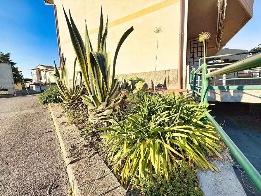 Immagine 38 di Appartamento in vendita  a Piombino