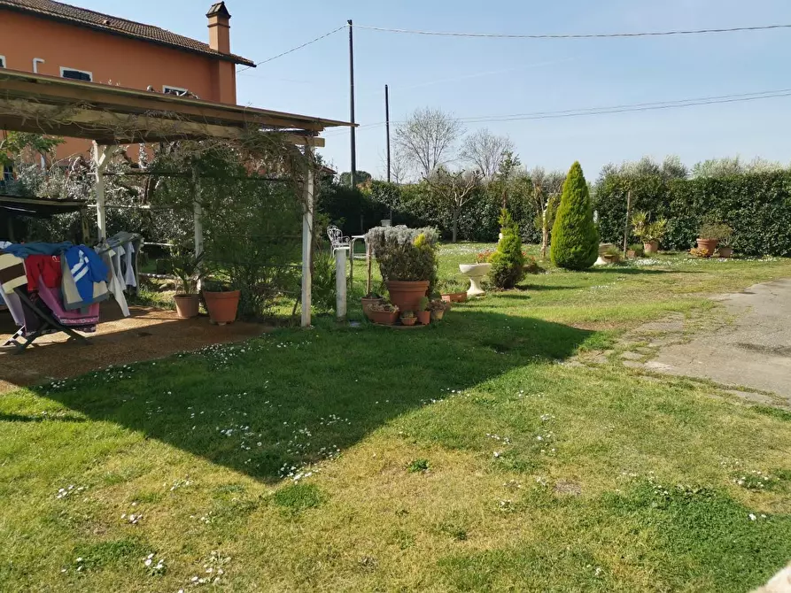 Immagine 54 di Terratetto in vendita  a Fucecchio