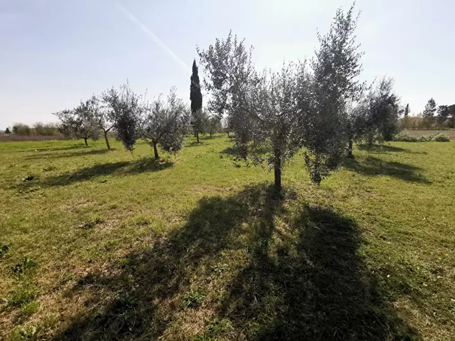 Immagine 71 di Terratetto in vendita  a Fucecchio