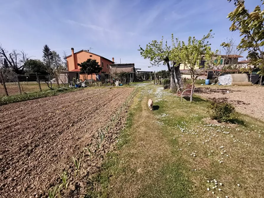 Immagine 60 di Terratetto in vendita  a Fucecchio