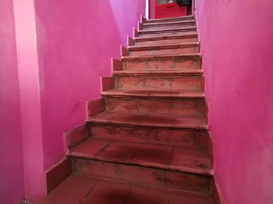 Immagine 36 di Terratetto in vendita  a Fucecchio